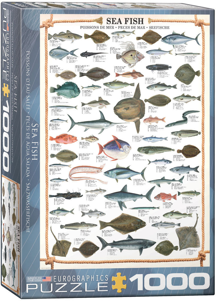 Puzzle: Animal Charts - Sea Fish (ONLINE ORDER ONLY)