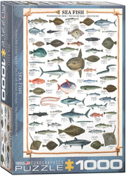 Puzzle: Animal Charts - Sea Fish (ONLINE ORDER ONLY)