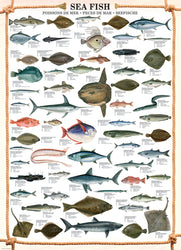 Puzzle: Animal Charts - Sea Fish (ONLINE ORDER ONLY)