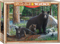 Puzzle: Great American Outdoors  - New Discoveries by Kevin Daniel (ONLINE ORDER ONLY)