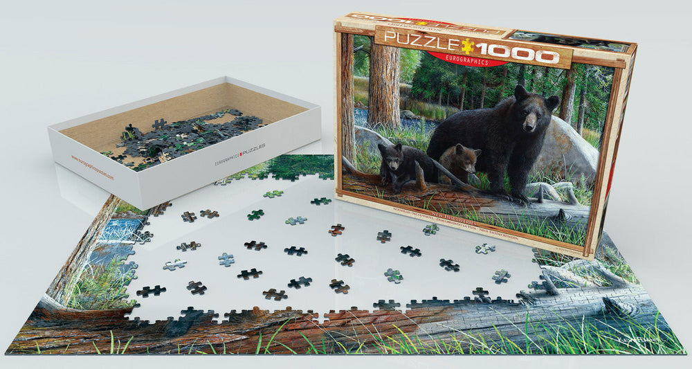 Puzzle: Great American Outdoors  - New Discoveries by Kevin Daniel (ONLINE ORDER ONLY)