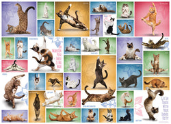 Puzzle: Yoga Dogs & Cats Collection - Yoga Cats (ONLINE ORDER ONLY)