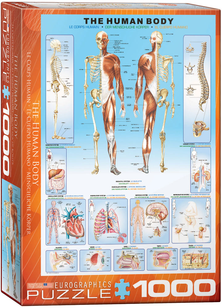 Puzzle: History & General Interest - The Human Body (ONLINE ORDER ONLY)