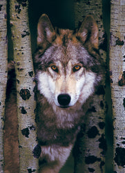 Puzzle: Animal Life Photography - Gray Wolf (ONLINE ORDER ONLY)