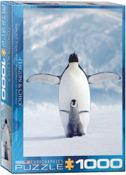 Puzzle: Animal Life Photography - Penguin & Chick (ONLINE ORDER ONLY)