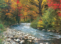 Puzzle: Scenic Photography - Forest Stream (ONLINE ORDER ONLY)