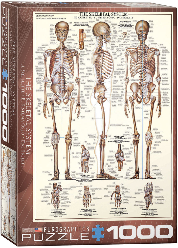 Puzzle: Anatomy & Science Charts  - The Skeletal System (ONLINE ORDER ONLY)