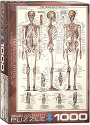 Puzzle: Anatomy & Science Charts  - The Skeletal System (ONLINE ORDER ONLY)