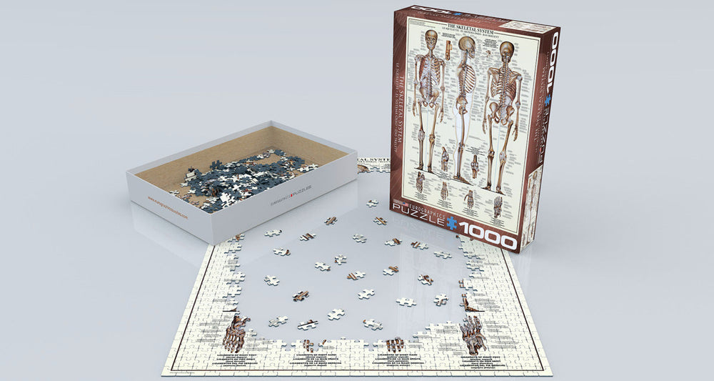 Puzzle: Anatomy & Science Charts  - The Skeletal System (ONLINE ORDER ONLY)