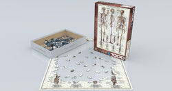 Puzzle: Anatomy & Science Charts  - The Skeletal System (ONLINE ORDER ONLY)