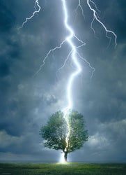 Puzzle: Scenic Photography - Lightning Striking Tree (ONLINE ORDER ONLY)