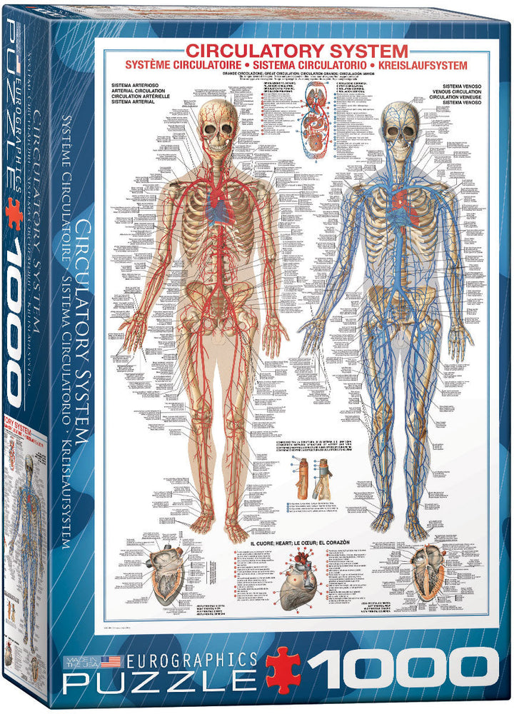 Puzzle: History & General Interest - Circulatory System (ONLINE ORDER ONLY)