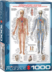 Puzzle: History & General Interest - Circulatory System (ONLINE ORDER ONLY)