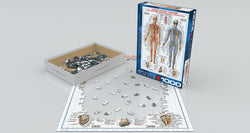 Puzzle: History & General Interest - Circulatory System (ONLINE ORDER ONLY)