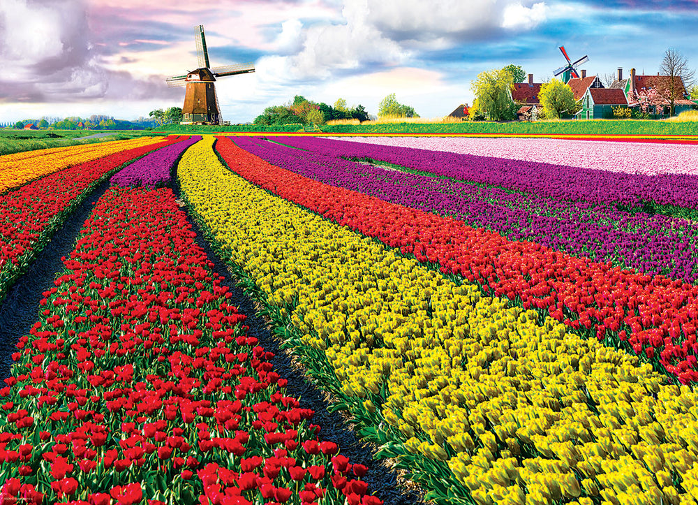 Puzzle: HDR Photography - Tulip Field - Netherlands (ONLINE ORDER ONLY)