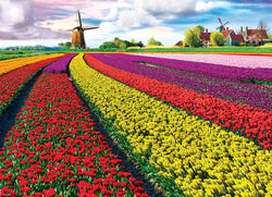Puzzle: HDR Photography - Tulip Field - Netherlands (ONLINE ORDER ONLY)