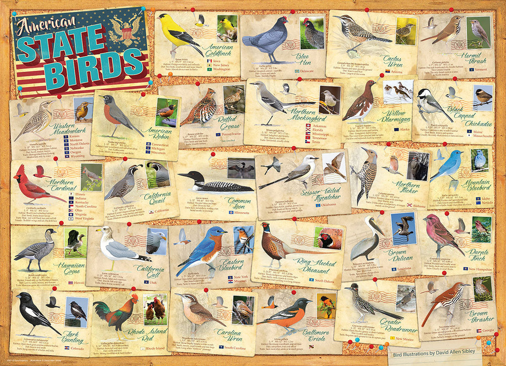 Puzzle: Great American Outdoors - State Birds (ONLINE ORDER ONLY)