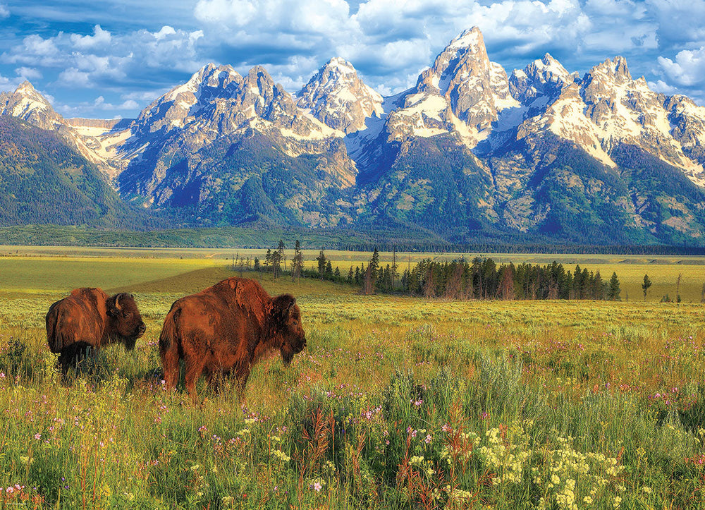 Puzzle: HDR Photography - Grand Teton National Park (ONLINE ORDER ONLY)