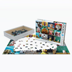 Puzzle: Artist Series - Funny Animals (ONLINE ORDER ONLY)