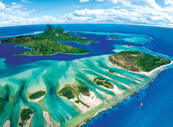 Puzzle: Save Our Planet Puzzles - Coral Reef (ONLINE ORDER ONLY)