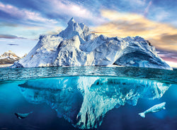 Puzzle: Save Our Planet Puzzles - Artic (ONLINE ORDER ONLY)