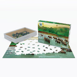 Puzzle: Save Our Planet Puzzles - Rainforest (ONLINE ORDER ONLY)