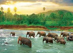 Puzzle: Save Our Planet Puzzles - Rainforest (ONLINE ORDER ONLY)