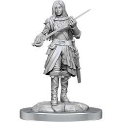 D&D Nolzur's Marvelous Miniatures: Half-Elf Rogue Female (Online Order Only)