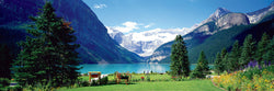 Puzzle: Panoramic Puzzles - Lake Louise Canadian Rockies (ONLINE ORDER ONLY)