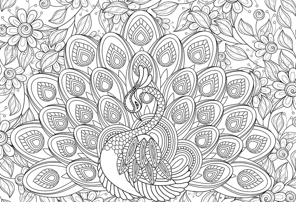 Puzzle: Color-Me Collection - Majestic Feathers (ONLINE ORDER ONLY)