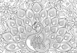 Puzzle: Color-Me Collection - Majestic Feathers (ONLINE ORDER ONLY)