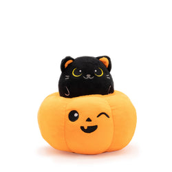 Peek-A-Boo Plush - Cat in Pumpkin (ONLINE ORDER ONLY)