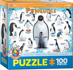 Puzzle: Educational Charts for Kids - Penguins (ONLINE ORDER ONLY)