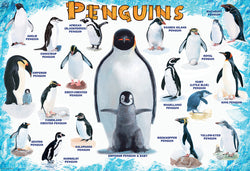 Puzzle: Educational Charts for Kids - Penguins (ONLINE ORDER ONLY)