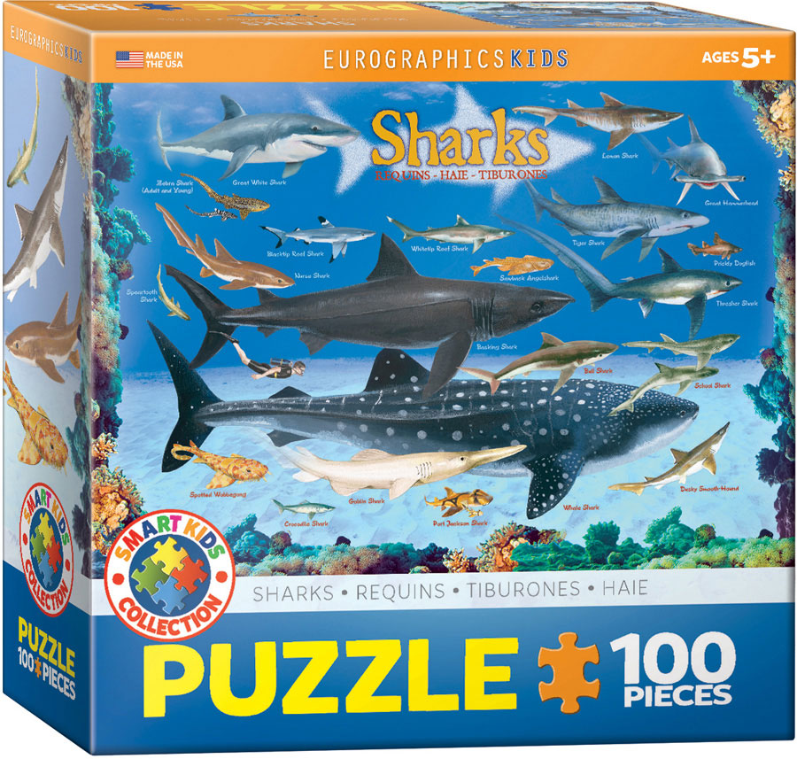 Puzzle: Educational Charts for Kids - Sharks (ONLINE ORDER ONLY)