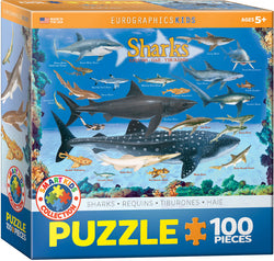 Puzzle: Educational Charts for Kids - Sharks (ONLINE ORDER ONLY)