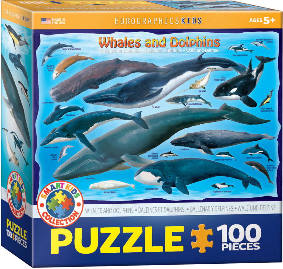 Puzzle: Educational Charts for Kids - Whales & Dolphins (ONLINE ORDER ONLY)