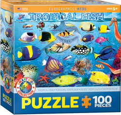 Puzzle: Educational Charts for Kids - Tropical Fish (ONLINE ORDER ONLY)