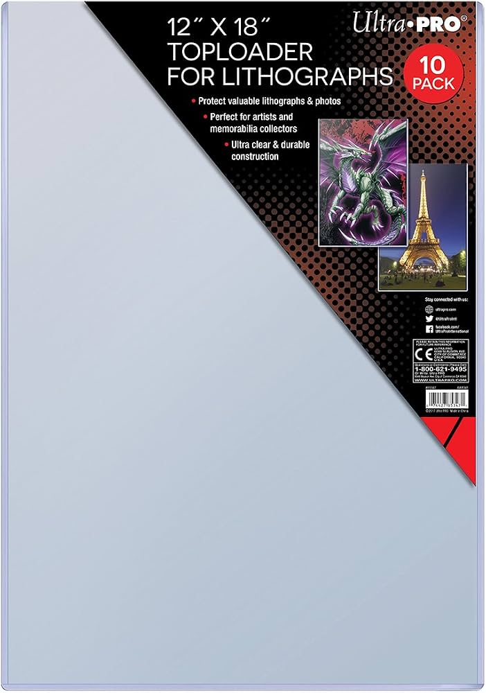 Back to the Future Part II "Classic Movie Art" Limited Edition Commemorative Print (with protective toploader)