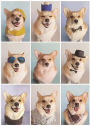 Jeneral Collectives: wholesome times - Incorgnito 1000 Piece Jigsaw Puzzle (ONLINE ORDER ONLY)