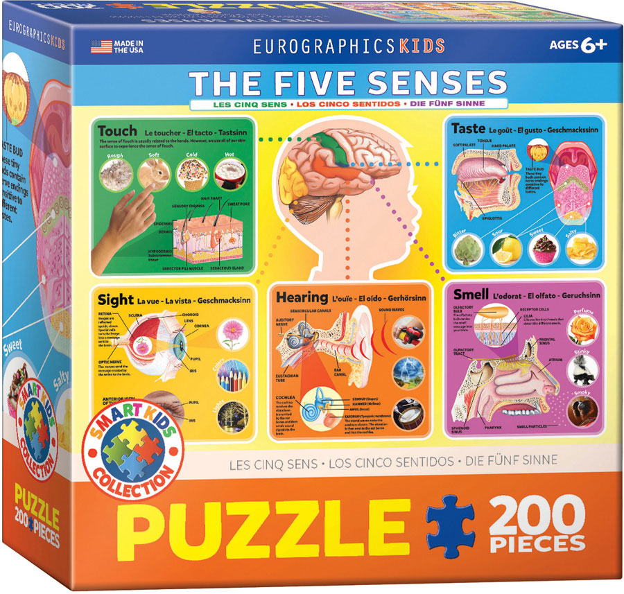 Puzzle: Educational Charts for Kids - The Five Senses (ONLINE ORDER ONLY)