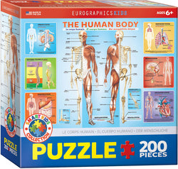 Puzzle: Educational Charts for Kids - The Human Body (ONLINE ORDER ONLY)