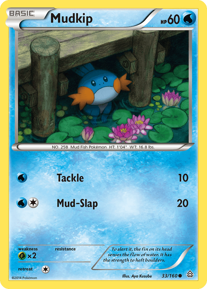 Mudkip (33/160) [XY: Primal Clash] (Online Only)