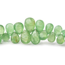 6.5x5-12x8.5mm Tsavorite Garnet Faceted Pear Beads 8 inch 62 pieces AA (ONLINE ORDER ONLY)