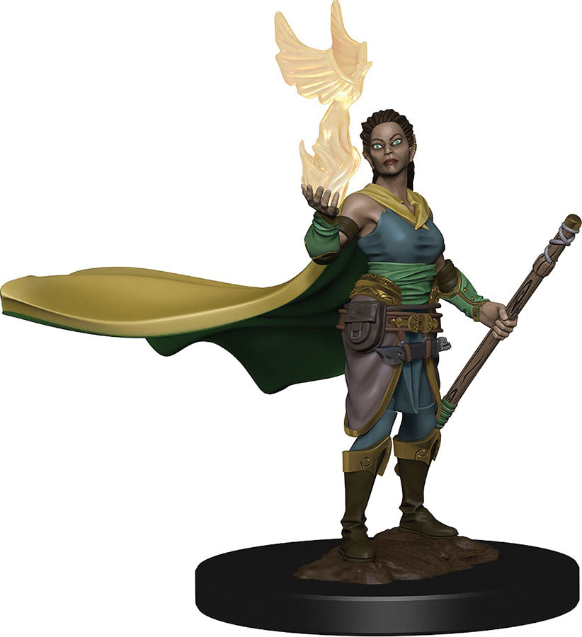 D&D: Icons of the Realms - Elf Female Druid (ONLINE ORDER ONLY)