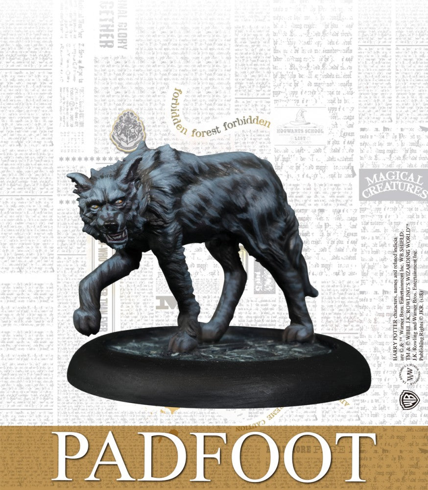 Harry Potter Miniatures Adventure Game: Order of the Phoenix Pack (ONLINE ORDER ONLY)