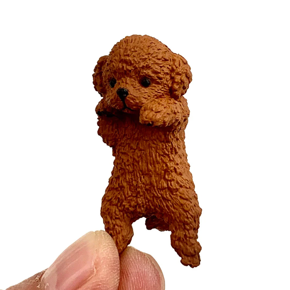 PLAYFUL HANGING DOGS BLIND BOX (1 Blind Box) (ONLINE ORDER ONLY)