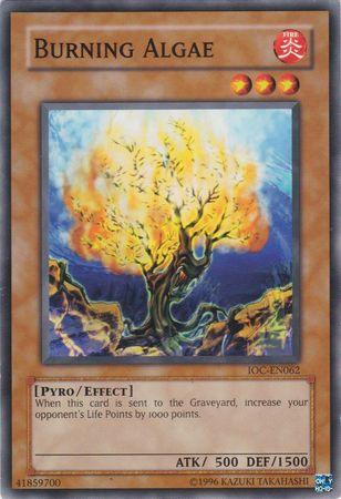 Burning Algae [IOC-EN062] Common (ONLINE ORDER ONLY)