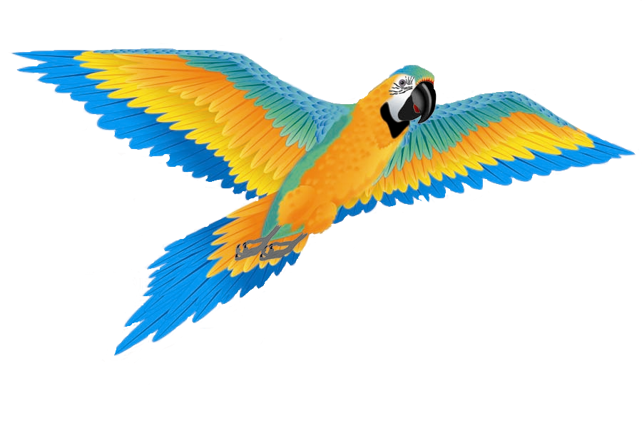 74 Inch Wingspan 3-D Nylon Blue Macaw Kite (ONLINE ORDER ONLY)