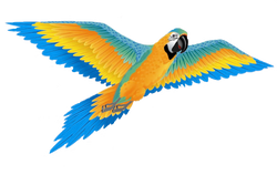 74 Inch Wingspan 3-D Nylon Blue Macaw Kite (ONLINE ORDER ONLY)
